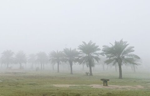 مه رقیق صبحگاهی و شامگاهی تا سه روز آینده در مناطق ساحلی خوزستان