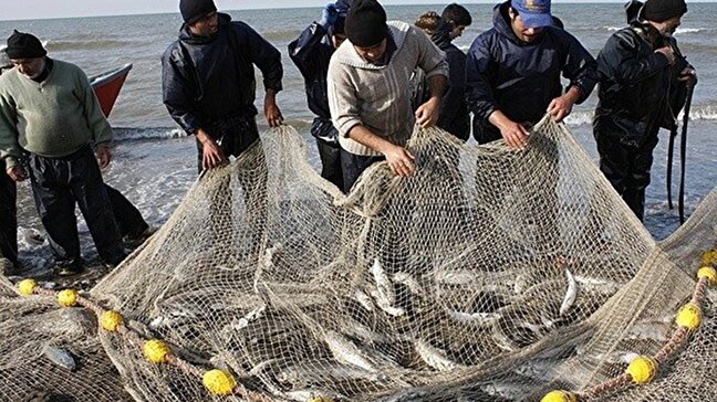 رشد ۱۵ درصدی صید ماهیان استخوانی دریای خزر / صید ماهیان استخوانی در گلستان تمدید شد